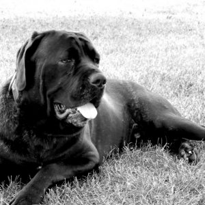 Severin (2 yrs old)