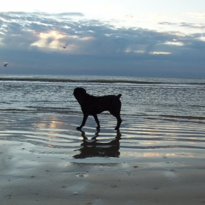 Severin at Beach (2 yrs old)