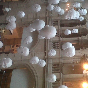 IMG00139 20130503 1221