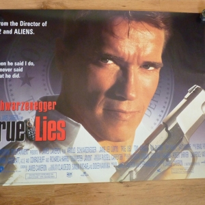 true lies