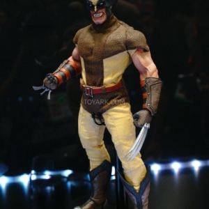 wolverine