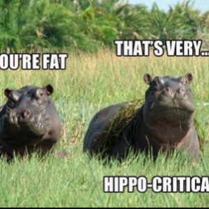 love this