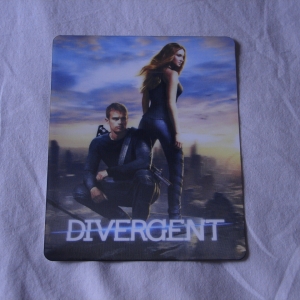 Divergent (3D - Custom Printed)