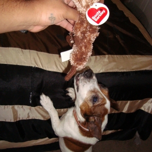 Cowboys_New_Toy_2
