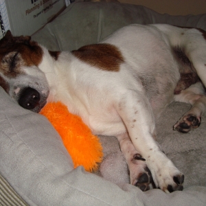 Halloween Pillow_4