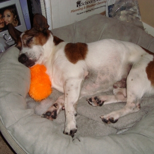 Halloween Pillow_5
