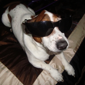 Cool Cowboy!