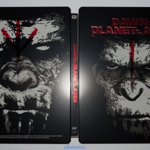Dawn of the Planet of the Apes - Outside