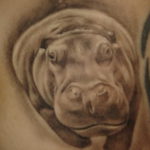 Fully Healed