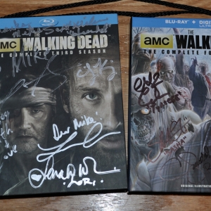 Walker Stalker 01