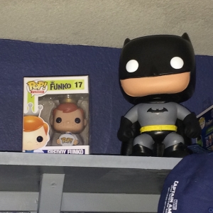 Middle Shelf 2