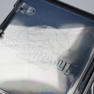 Jurassic Park - Inside of embossed title.jpg