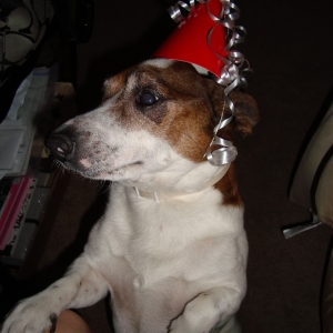Cowboys Birthday_1.jpg
