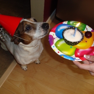 Cowboys Birthday_15.jpg
