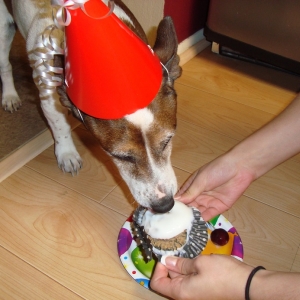 Cowboys Birthday_16.jpg