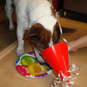 Cowboys Birthday_17.jpg