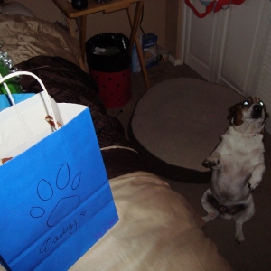 Cowboys Birthday_21.jpg