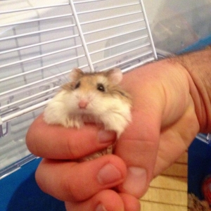 Fear me human.. for I am a demigod!