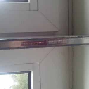 Spine/Side