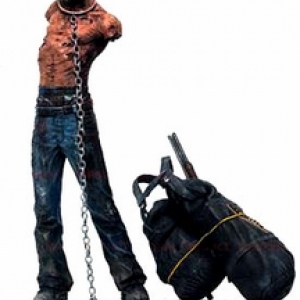 Pet1