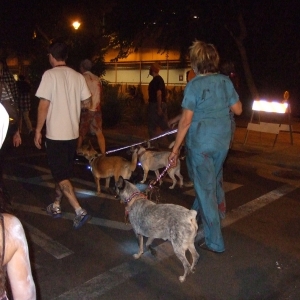 Phoenix Zombie Walk 2015_41.JPG
