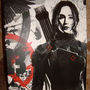 HG:Mockingjay Part 1_FilmArena_2