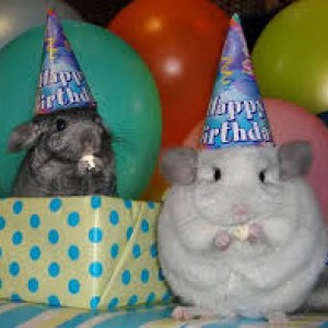 The Hats Say It ALL