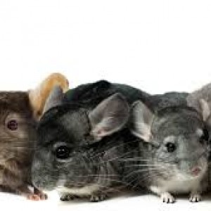 Group Hugs