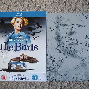 The Birds (fronts)