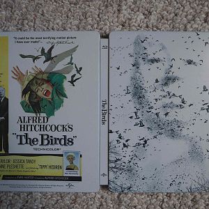 The Birds (steel)