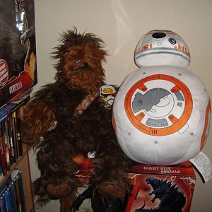 Chewie and BB8