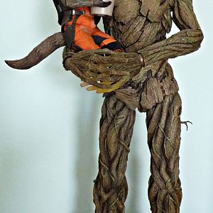 Walking Tree & Ranger Rick