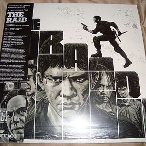 Raid Vinyl 1