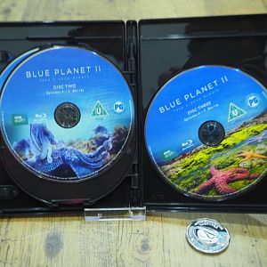 BluePlanetII_4K_discs3
