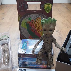 HotToys_Groot11