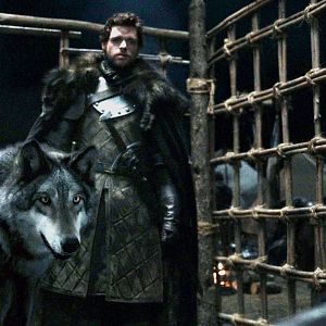 GreyWind