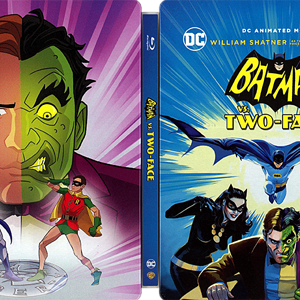 Batman vs. Two-Face (Best Buy).png