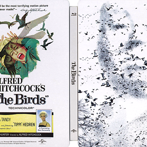 Birds, The (Zavvi).png