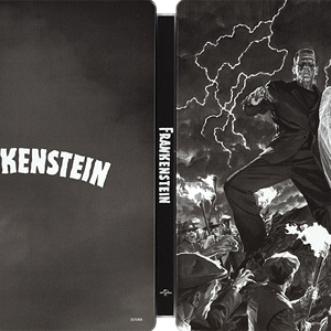 Frankenstein (Best Buy).png