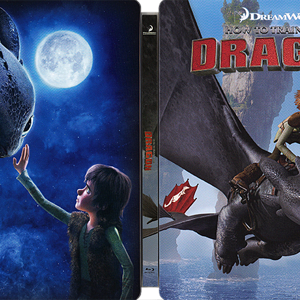 How to Train Your Dragon (HDZeta).png