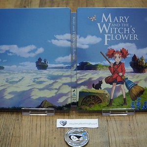 mary&witchesflower_opensteelbook.jpg