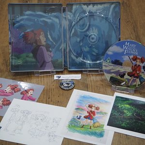 mary&witchesflower_opencontents.jpg