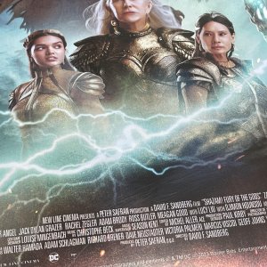 Shazam_Fury_hmv_back_zoom4.jpg
