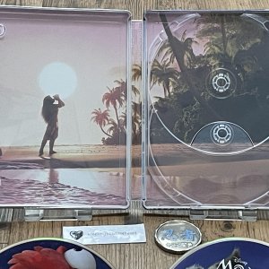 Moana 2_inside art.jpg