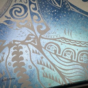 Moana 2_back_detail2.jpg