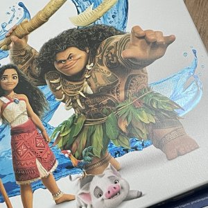 Moana 2_front_detail3.jpg