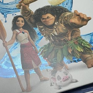 Moana 2_front_detail2.jpg