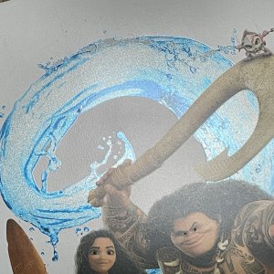 Moana 2_front_detail1.jpg