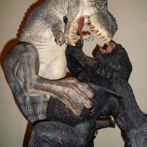 2. Kong v.s Rex