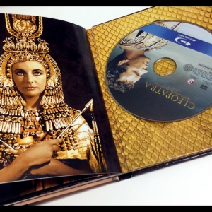 CLEO 7